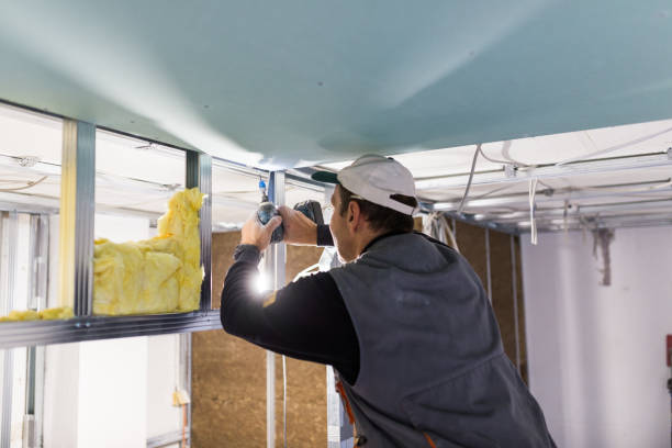 Best Wall Insulation Contractor  in Chestnut Ridge, NY